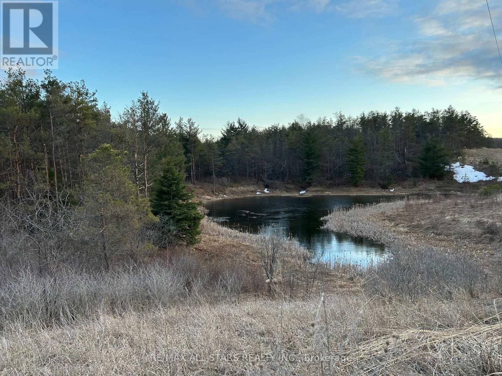 0 Highway 35, Kawartha Lakes, Ontario  L0A 1A0 - Photo 5 - X12423899