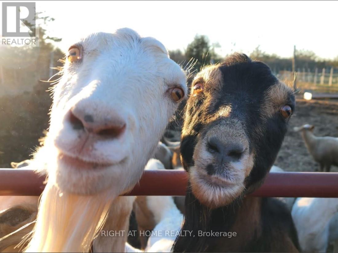 297 Power Road, Tyendinaga, Ontario  K0K 3A0 - Photo 3 - X12421485