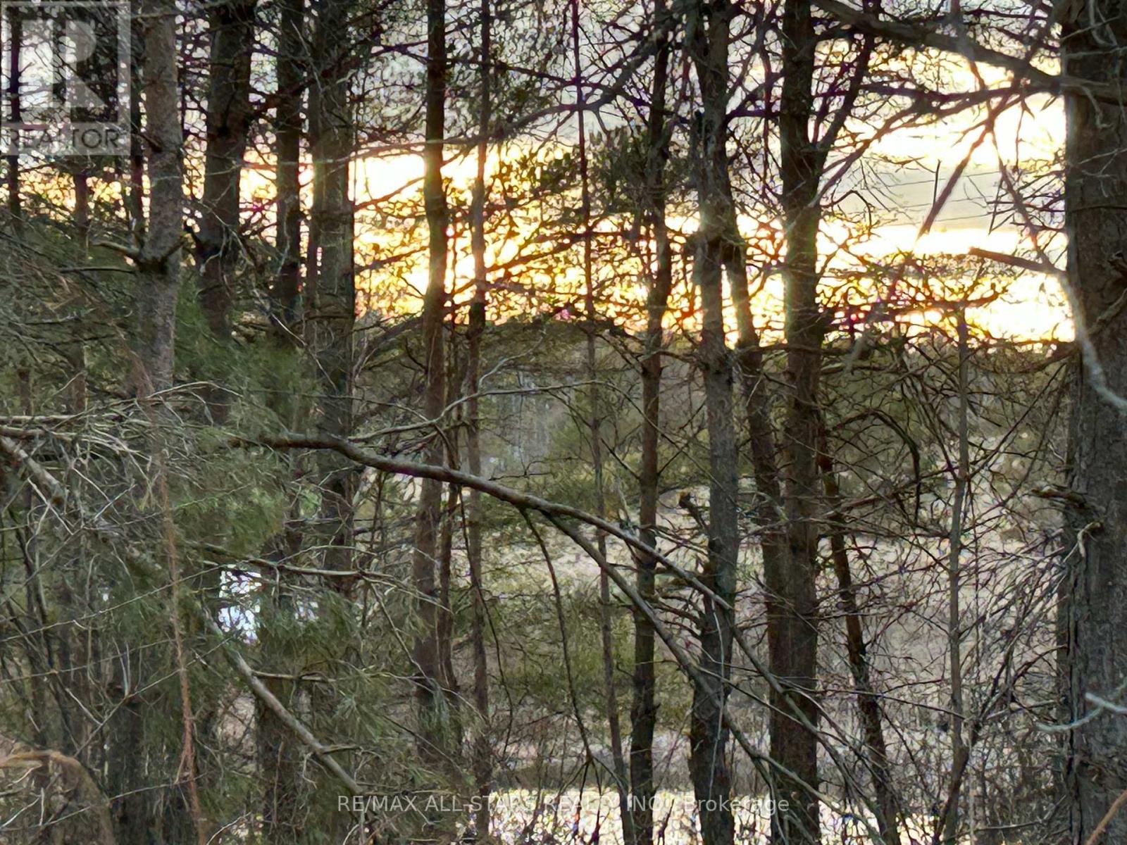 0 Highway 35, Kawartha Lakes, Ontario  L0A 1A0 - Photo 3 - X12423899