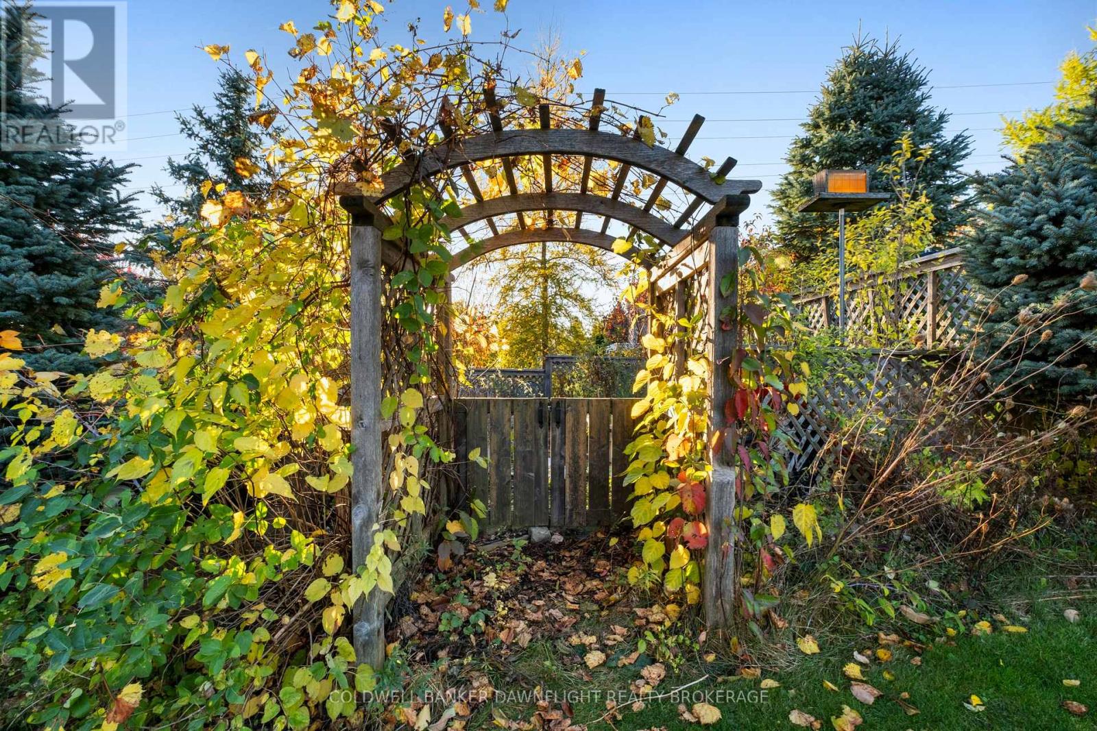 Photo 45 of 50 for 246 Hazelton Lane