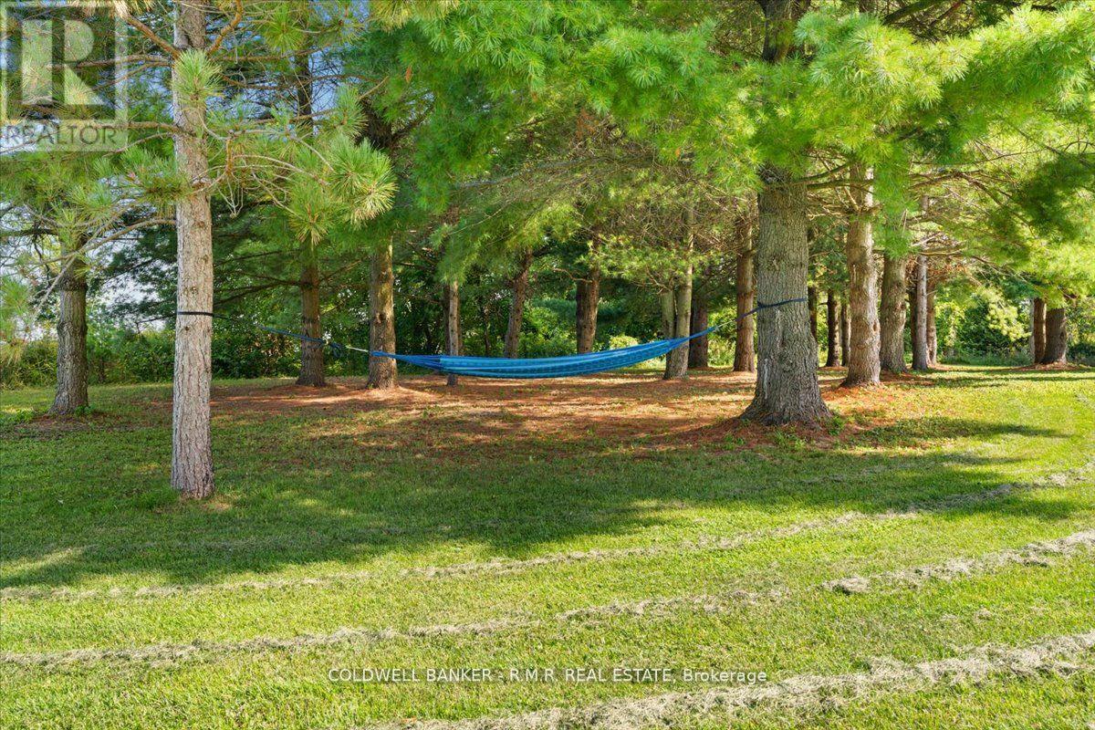 1126 County 41 Road, Brighton, Ontario  K7R 3L2 - Photo 39 - X12475939