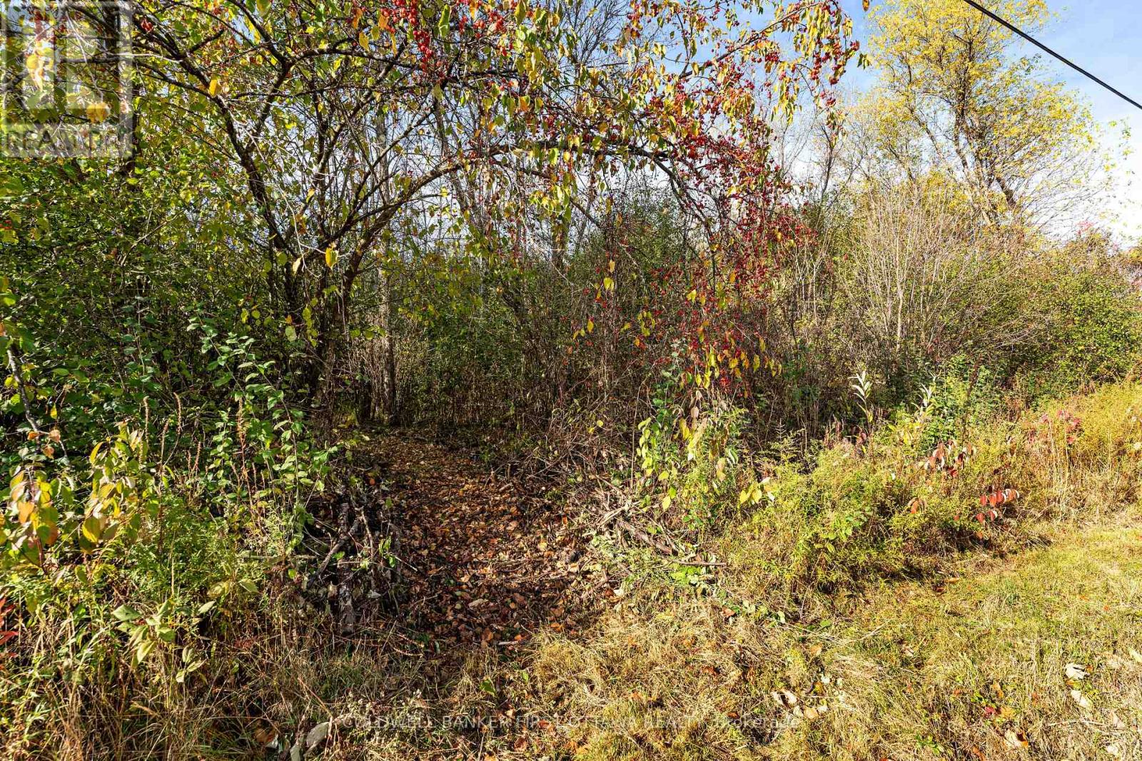 00 Jodi Lane, Drummond/north Elmsley, Ontario  K7H 3C7 - Photo 21 - X12475997