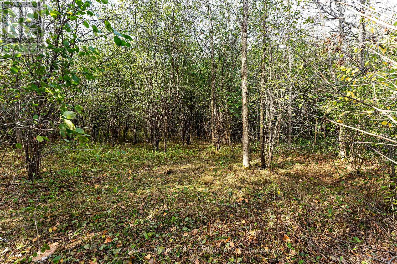 00 Jodi Lane, Drummond/north Elmsley, Ontario  K7H 3C7 - Photo 23 - X12475997