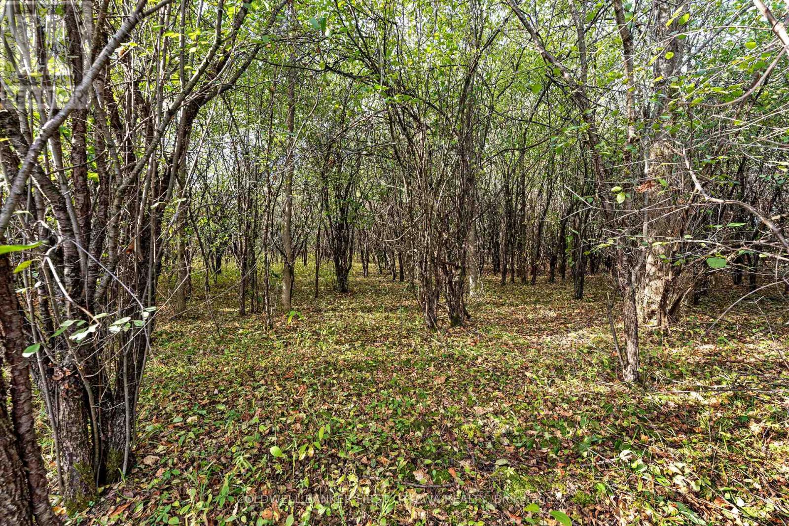 00 Jodi Lane, Drummond/north Elmsley, Ontario  K7H 3C7 - Photo 24 - X12475997