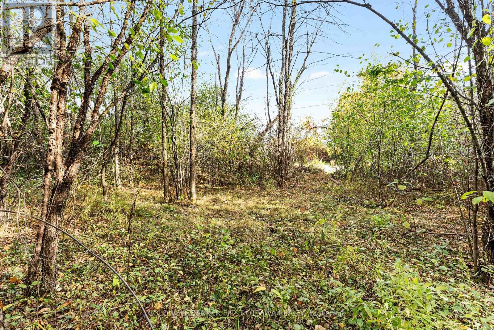 00 Jodi Lane, Drummond/north Elmsley, Ontario  K7H 3C7 - Photo 25 - X12475997