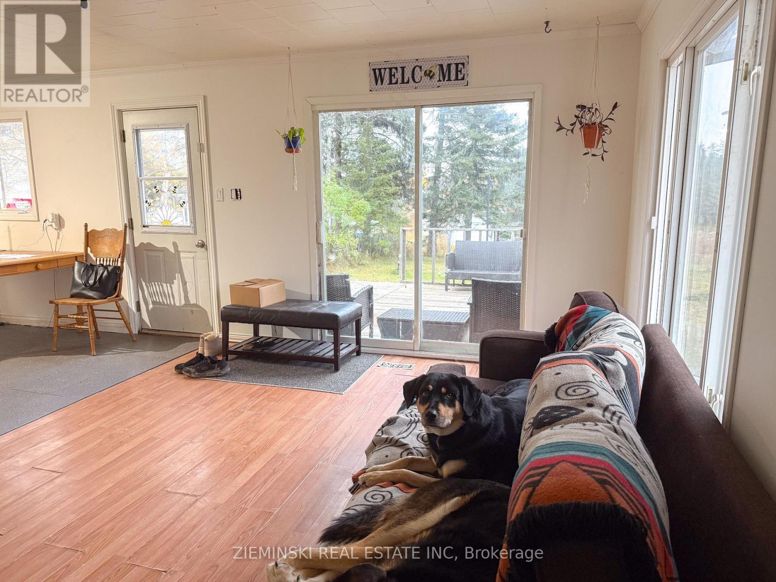 168 Nellie Lake Road W, Iroquois Falls, Ontario  P0K 1G0 - Photo 4 - T12477941