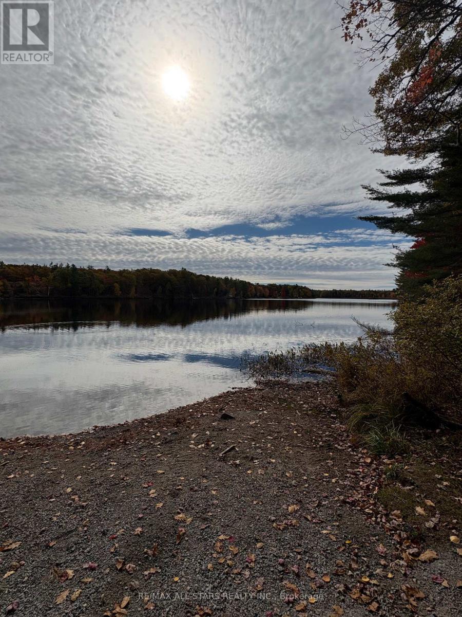 1295 Deep Bay Road, Minden Hills, Ontario  K0M 2L0 - Photo 14 - X12477920