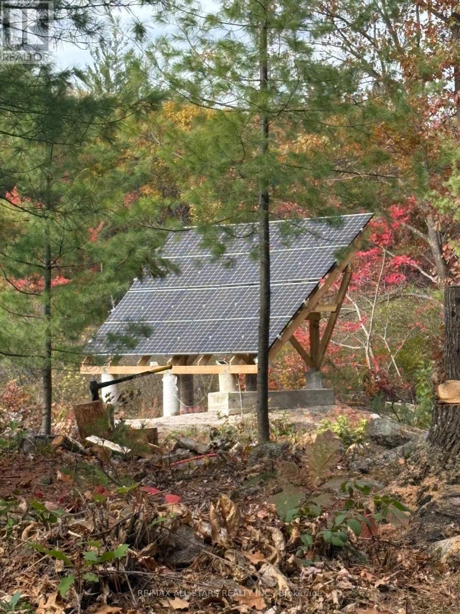 1295 Deep Bay Road, Minden Hills, Ontario  K0M 2L0 - Photo 4 - X12477920