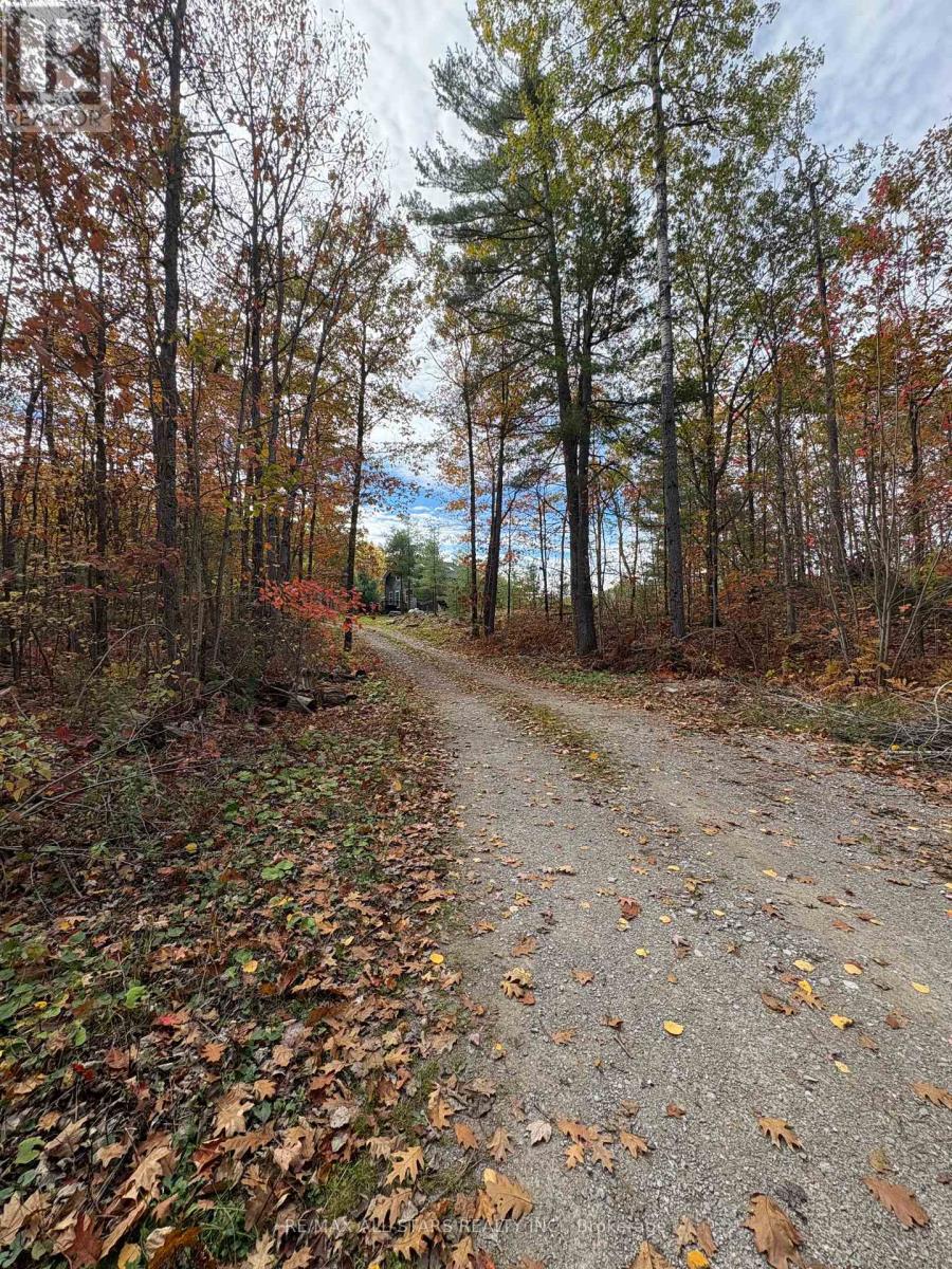 1295 Deep Bay Road, Minden Hills, Ontario  K0M 2L0 - Photo 5 - X12477920