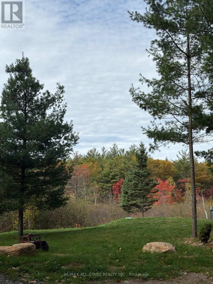 1295 Deep Bay Road, Minden Hills, Ontario  K0M 2L0 - Photo 6 - X12477920