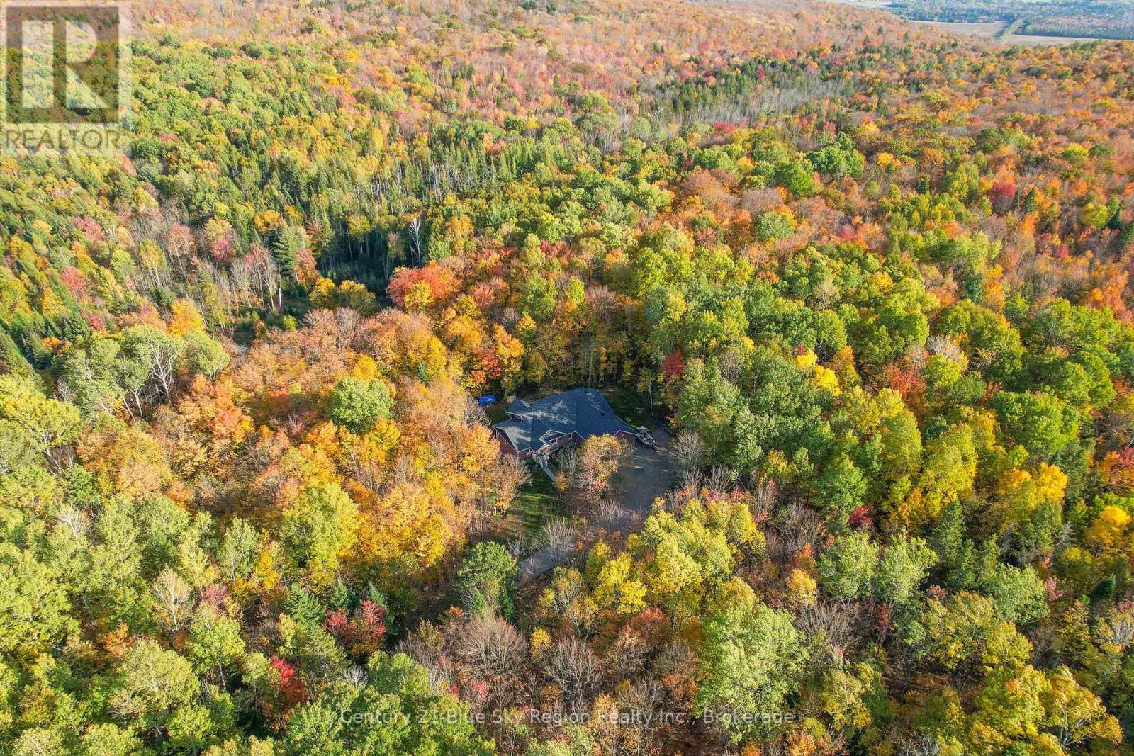 503 Ski Hill Road, Powassan, Ontario  P0H 1Z0 - Photo 4 - X12477908