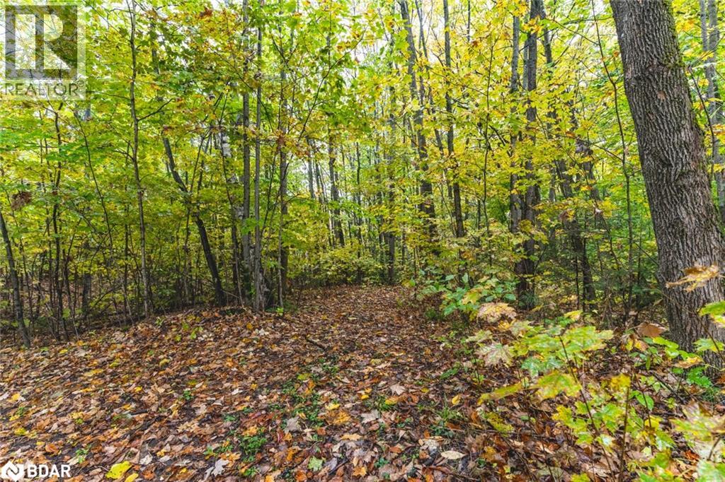 Pt Lots 23 & 24 Con 8, Oro-Medonte, Ontario  L0K 2C0 - Photo 9 - 40767158