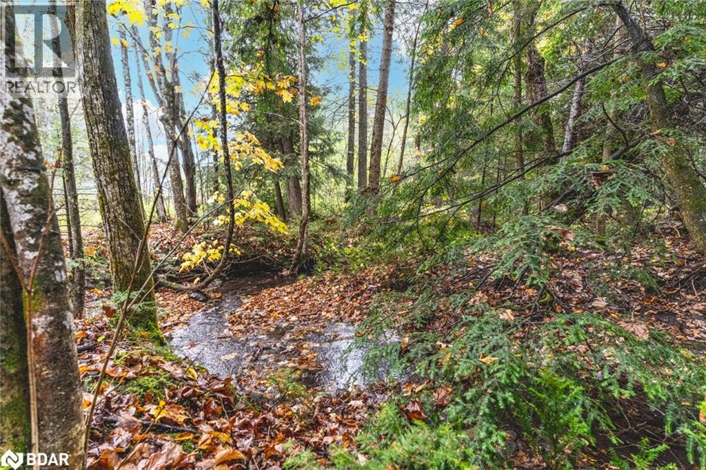 Pt Lots 23 & 24 Con 8, Oro-Medonte, Ontario  L0K 2C0 - Photo 6 - 40767158
