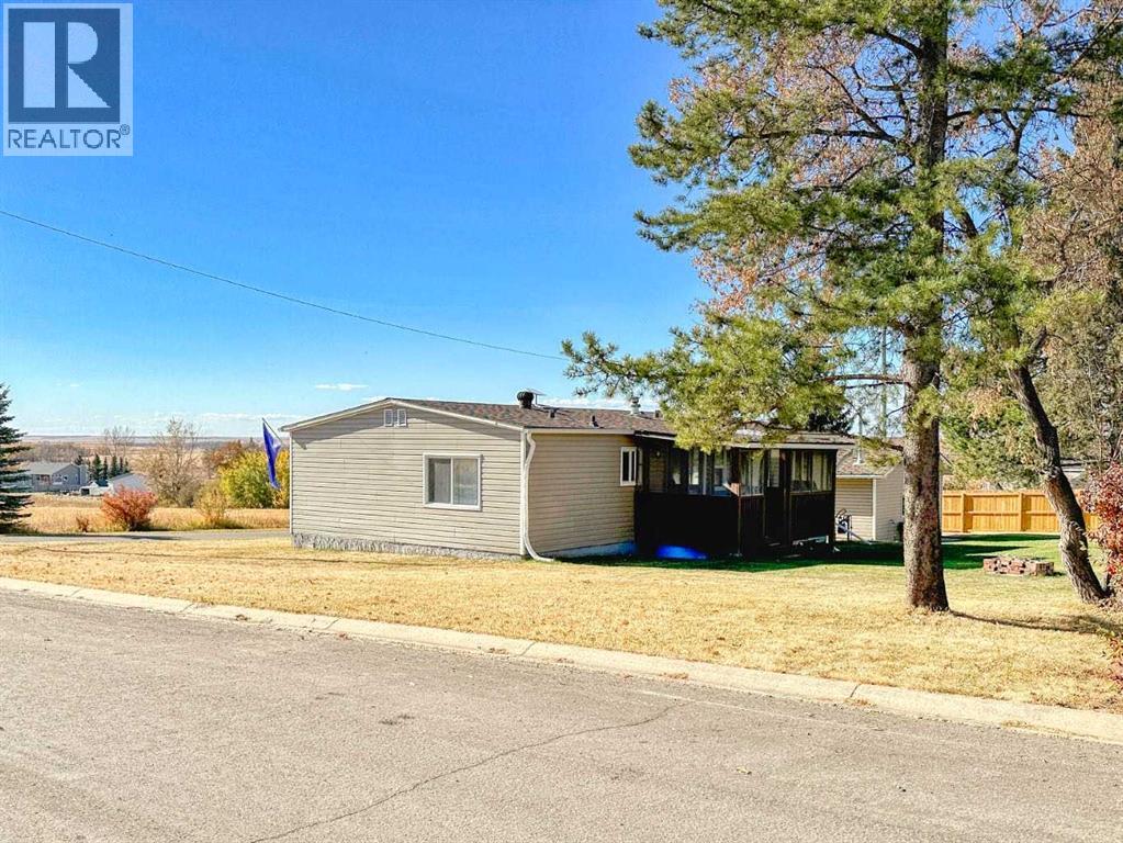 315 3 Avenue, Torrington, Alberta  T0M 2B0 - Photo 4 - A2266387