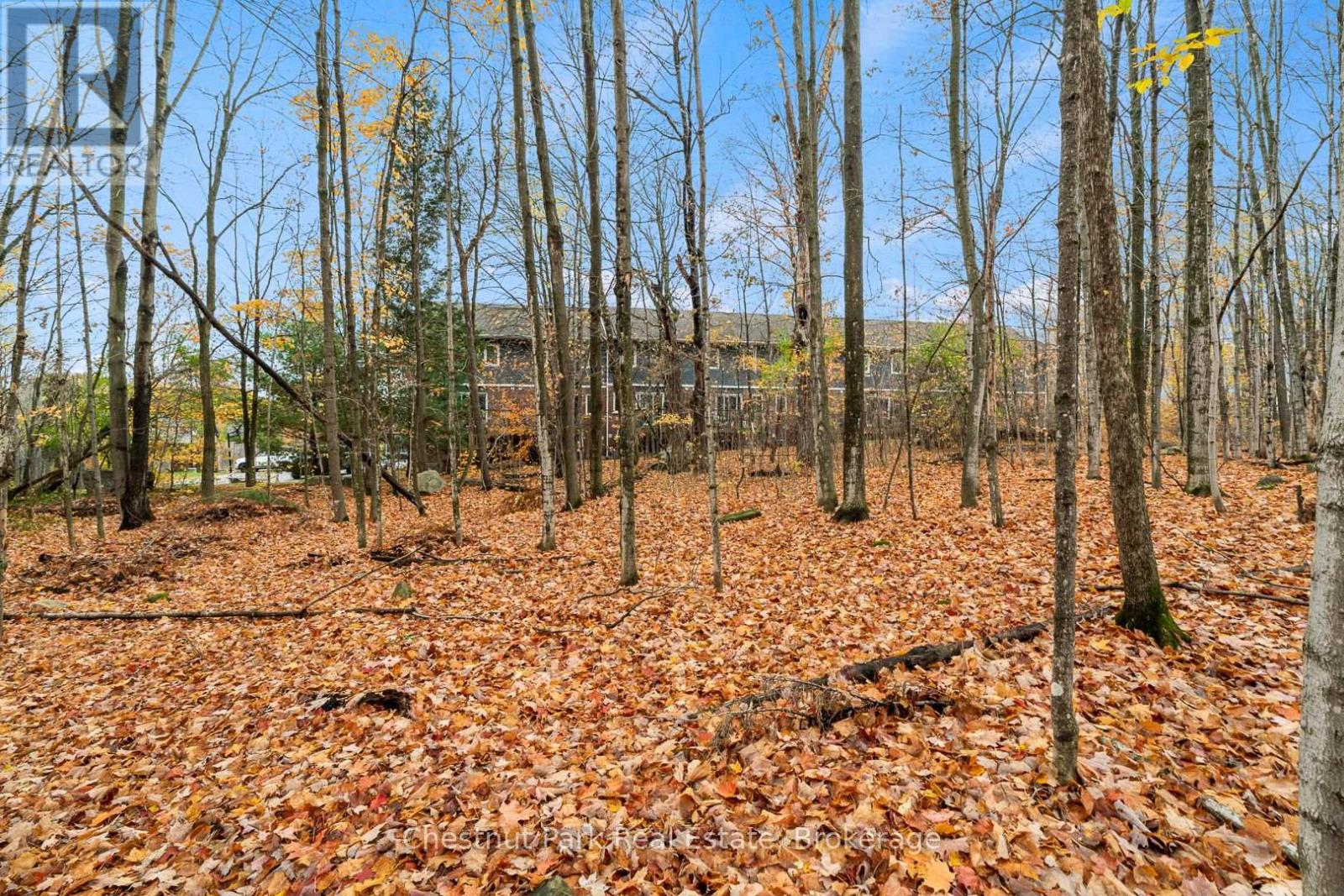 3 - 37 Silver Street, Huntsville, Ontario  P1H 1M2 - Photo 42 - X12477903
