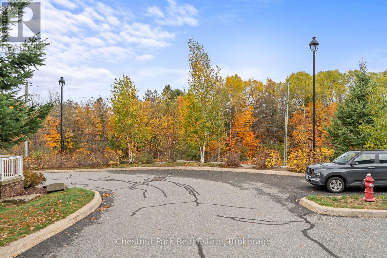 3 - 37 Silver Street, Huntsville, Ontario  P1H 1M2 - Photo 38 - X12477903