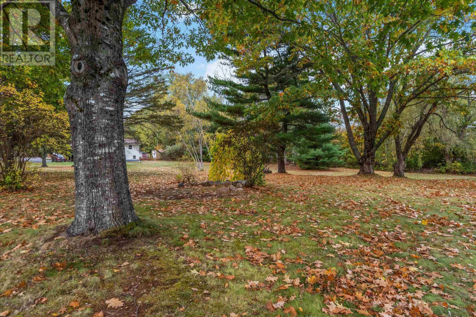 1011 Lone Pine Drive, Centreville, Nova Scotia  B0P 1J0 - Photo 3 - 202526193