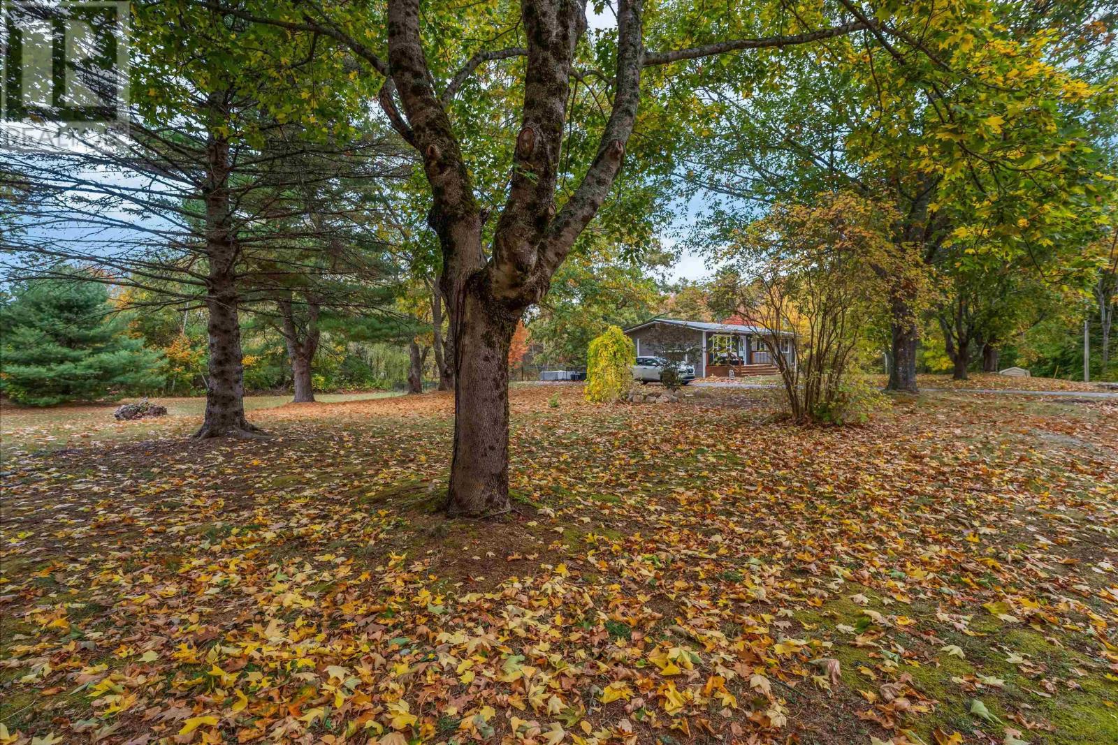 1011 Lone Pine Drive, Centreville, Nova Scotia  B0P 1J0 - Photo 4 - 202526193