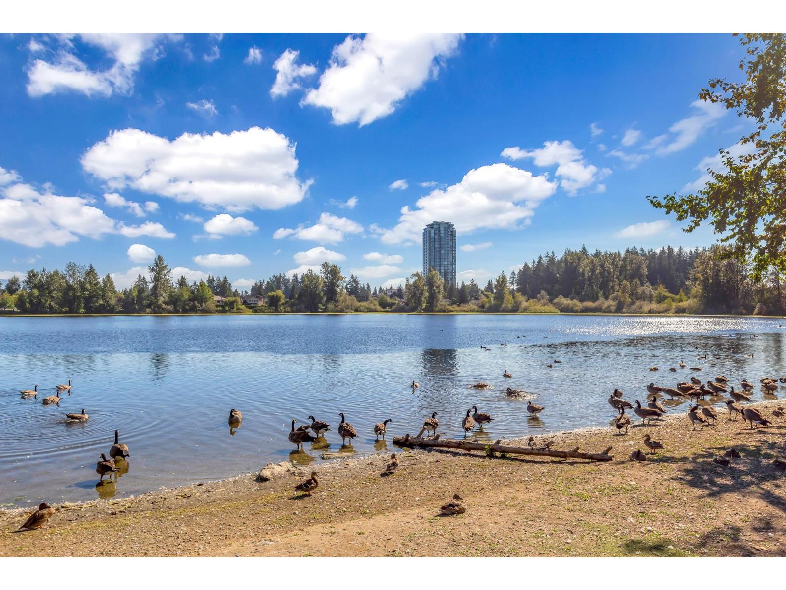 8 33136 Mill Lake Road, Abbotsford, British Columbia  V2S 2A5 - Photo 31 - R3057786