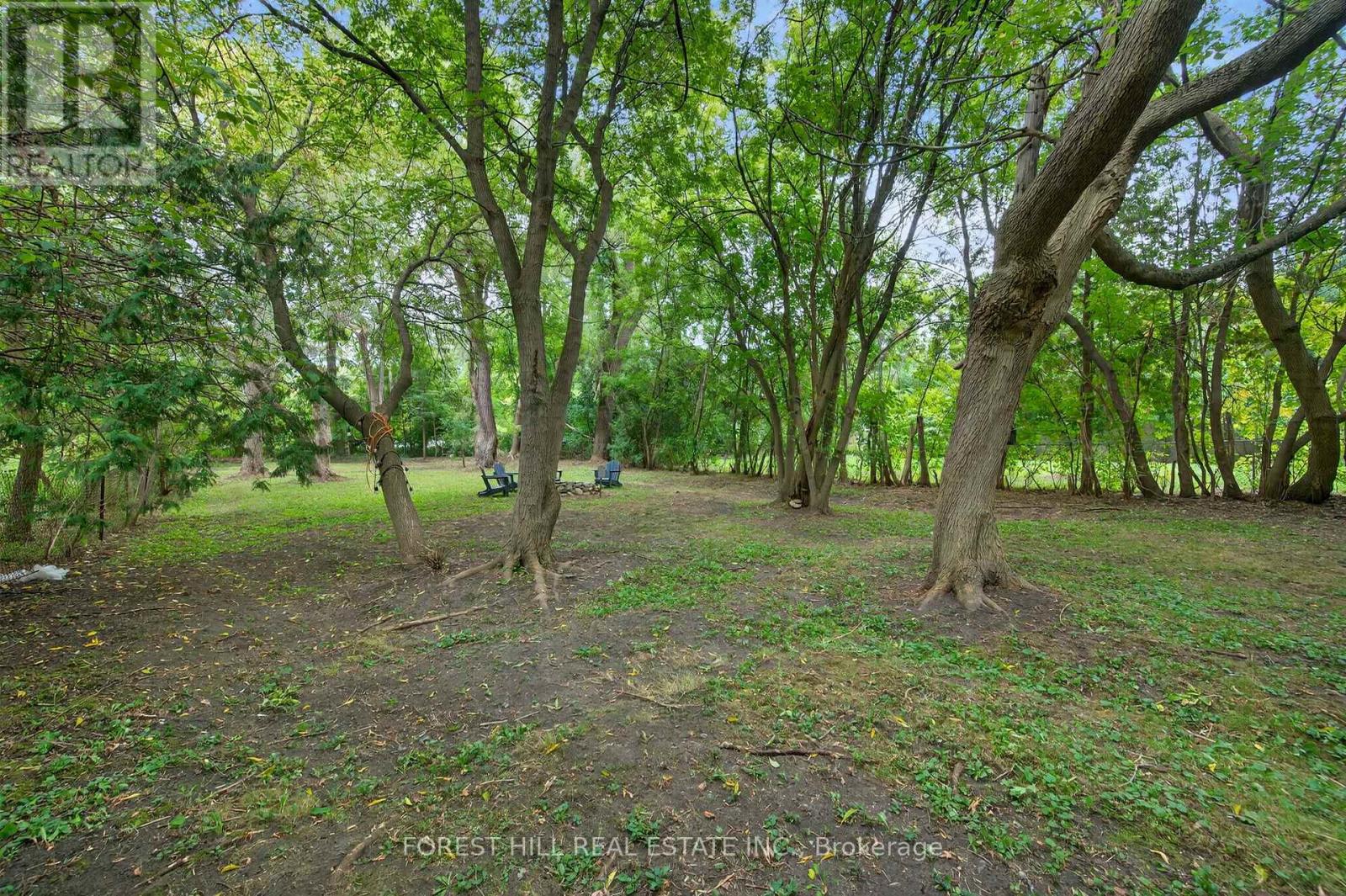 215 Main Street N, Newmarket, Ontario  L3Y 9B1 - Photo 49 - N12477770
