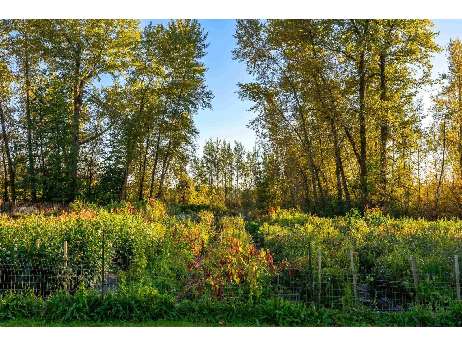 5441 256 Street, Langley, British Columbia  V4W 1E7 - Photo 37 - R3060429