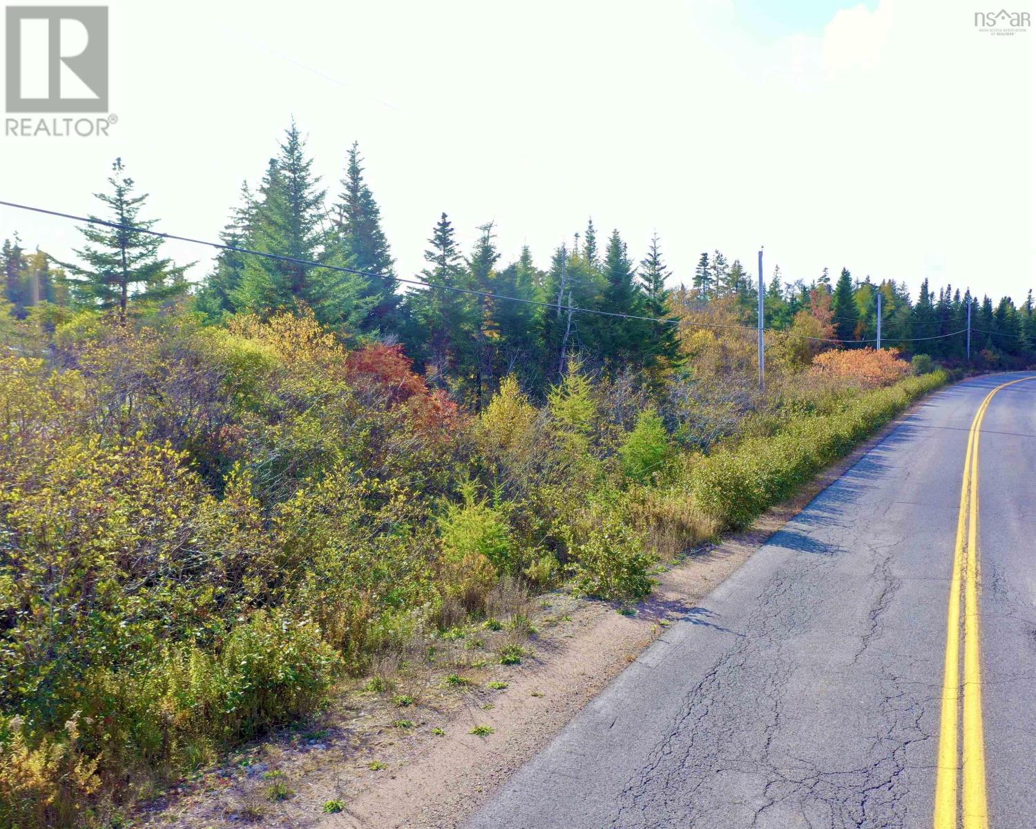St Peters Fourchu Road, Framboise, Nova Scotia  B2J 1E1 - Photo 19 - 202526436