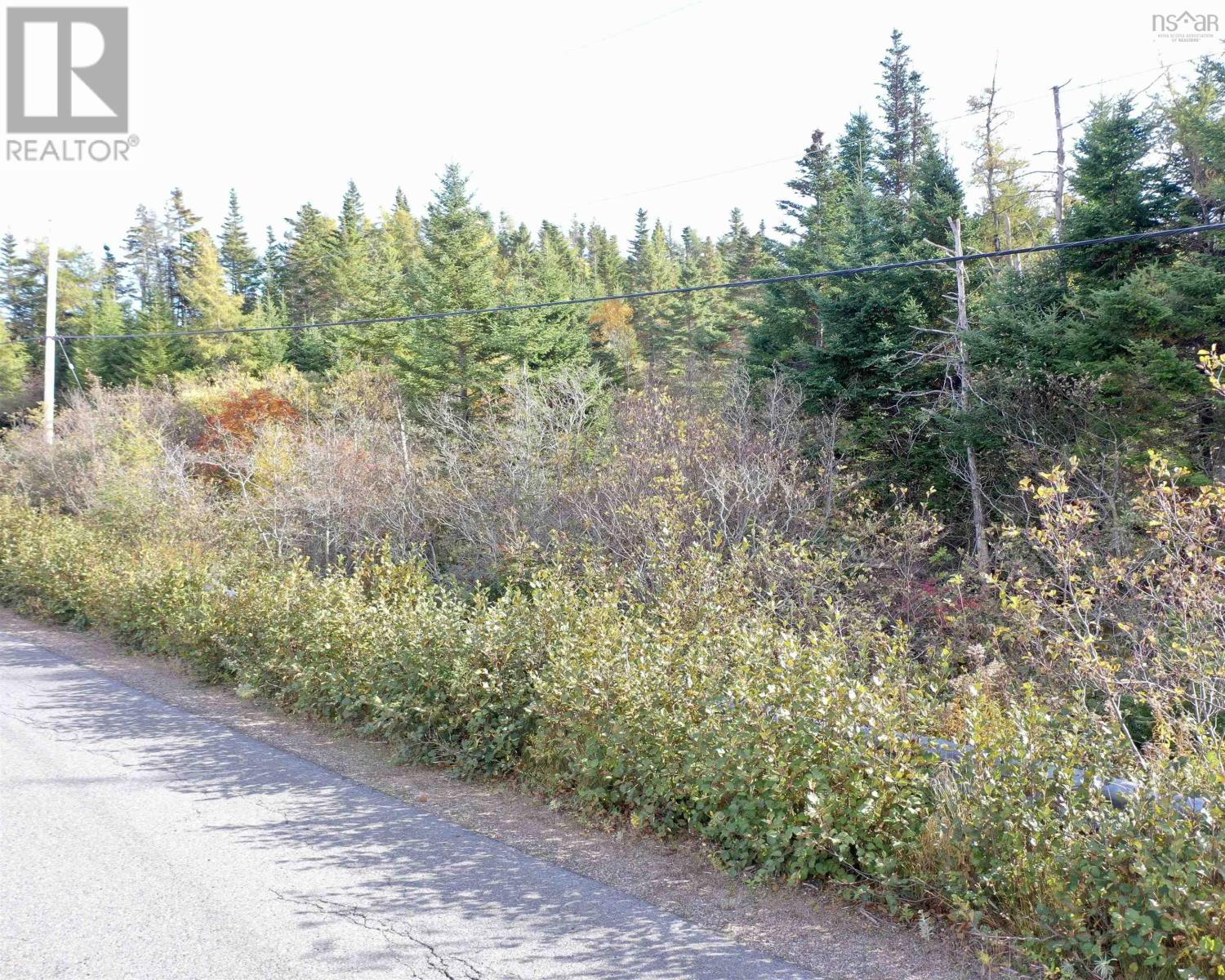 St Peters Fourchu Road, Framboise, Nova Scotia  B2J 1E1 - Photo 16 - 202526436