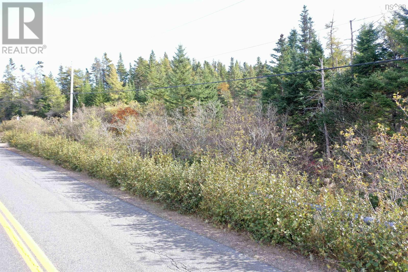 St Peters Fourchu Road, Framboise, Nova Scotia  B2J 1E1 - Photo 17 - 202526436