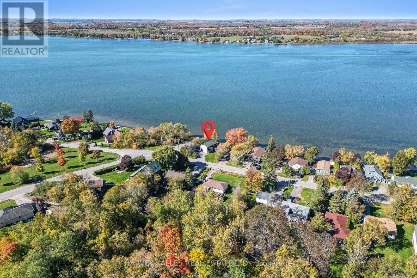1 Mcgill Drive, Kawartha Lakes, Ontario  K9V 4R4 - Photo 3 - X12477938