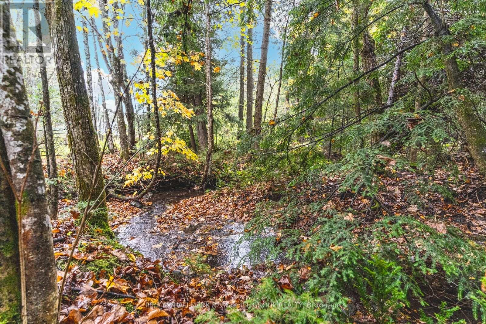 Lt23&24 Con 8, Oro-Medonte, Ontario  L0K 2C0 - Photo 6 - S12387798