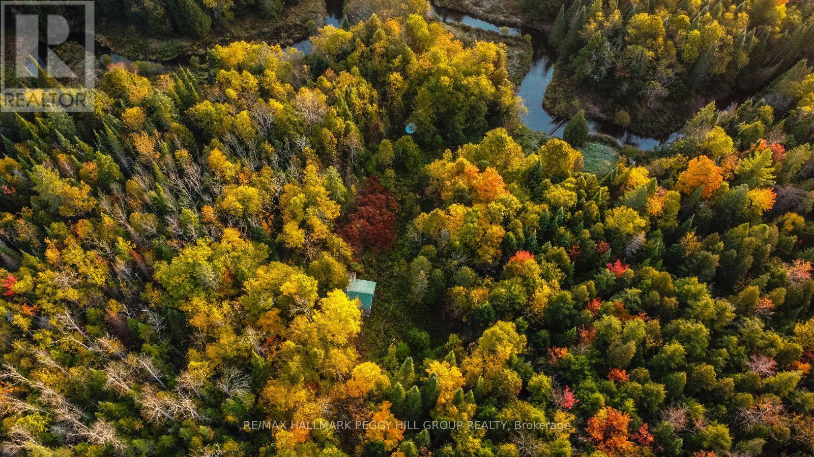 Lt23&24 Con 8, Oro-Medonte, Ontario  L0K 2C0 - Photo 13 - S12387798