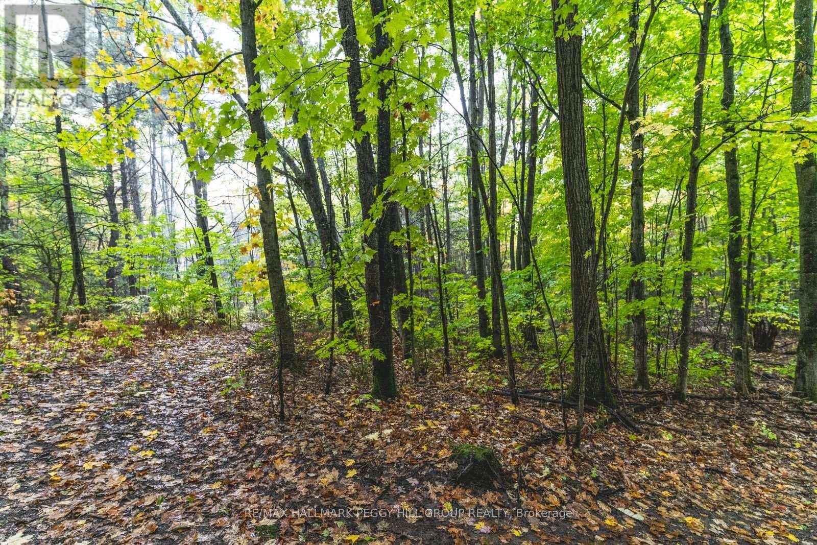 Lt23&24 Con 8, Oro-Medonte, Ontario  L0K 2C0 - Photo 8 - S12387798