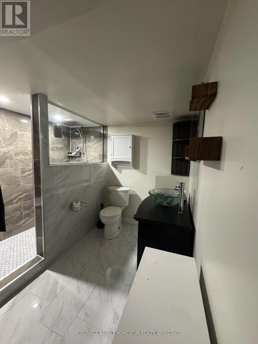 16 Princess Street, St. Catharines, Ontario  L2P 2P9 - Photo 21 - X12478369