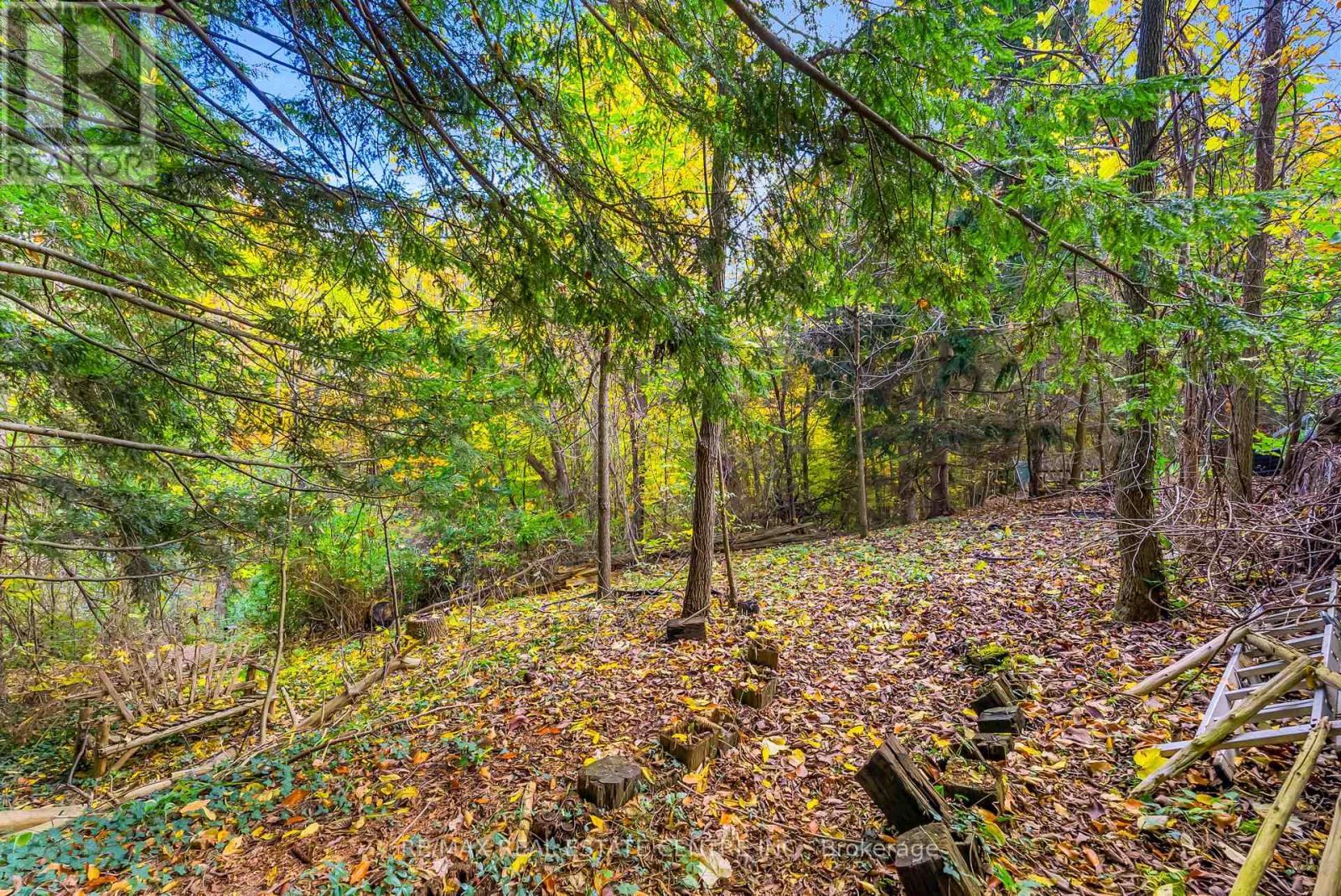 31 Metcalfe Court, Halton Hills, Ontario  L7G 4N7 - Photo 49 - W12478184