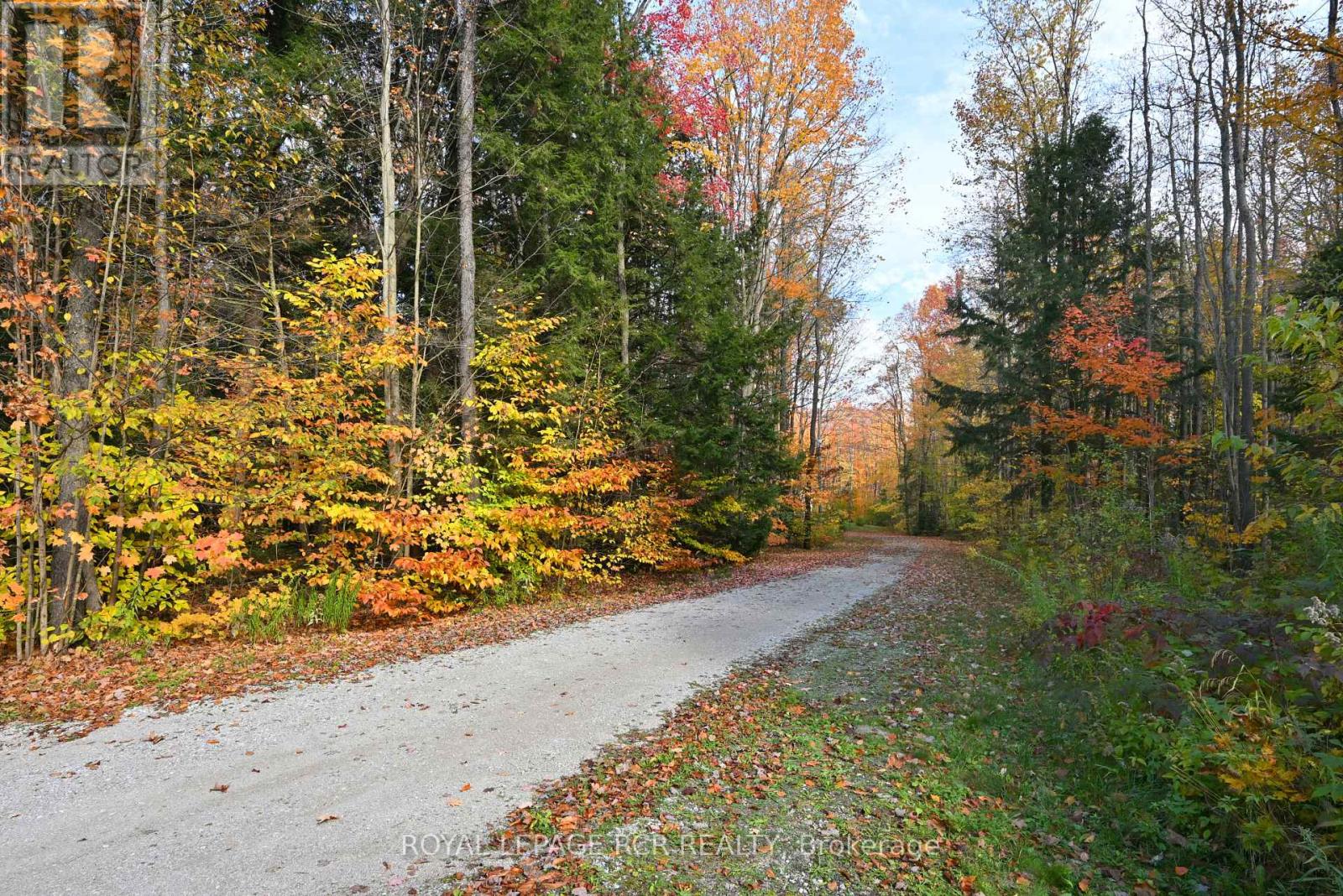 1385 Baseline Road, Springwater, Ontario  L0L 2K0 - Photo 23 - S12478287
