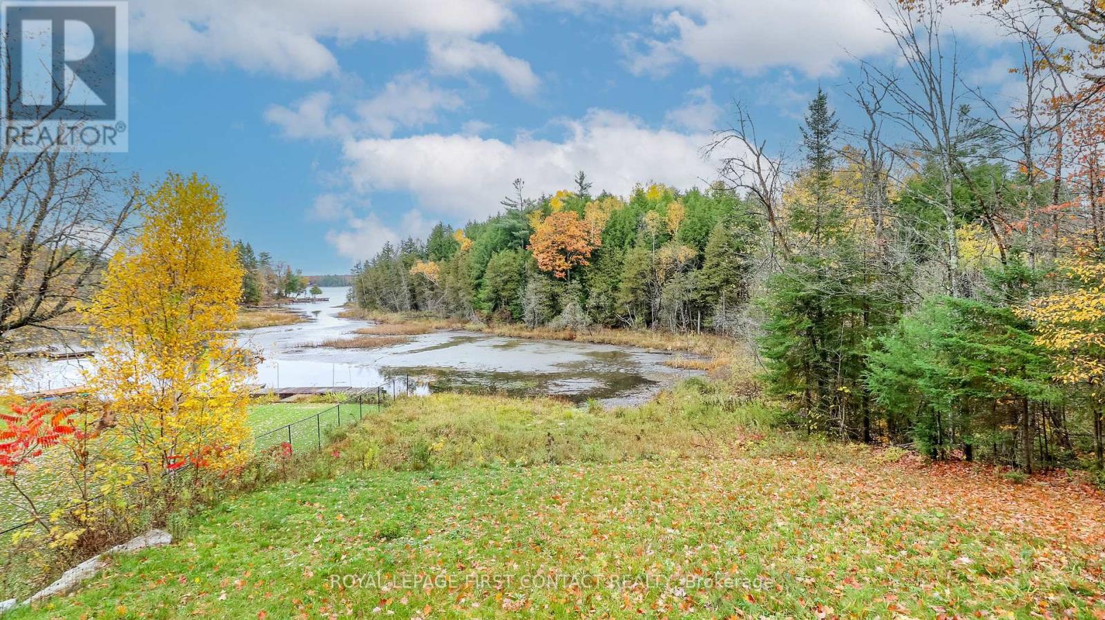 2 Porter Lane, Kawartha Lakes, Ontario  K0M 1K0 - Photo 6 - X12478128