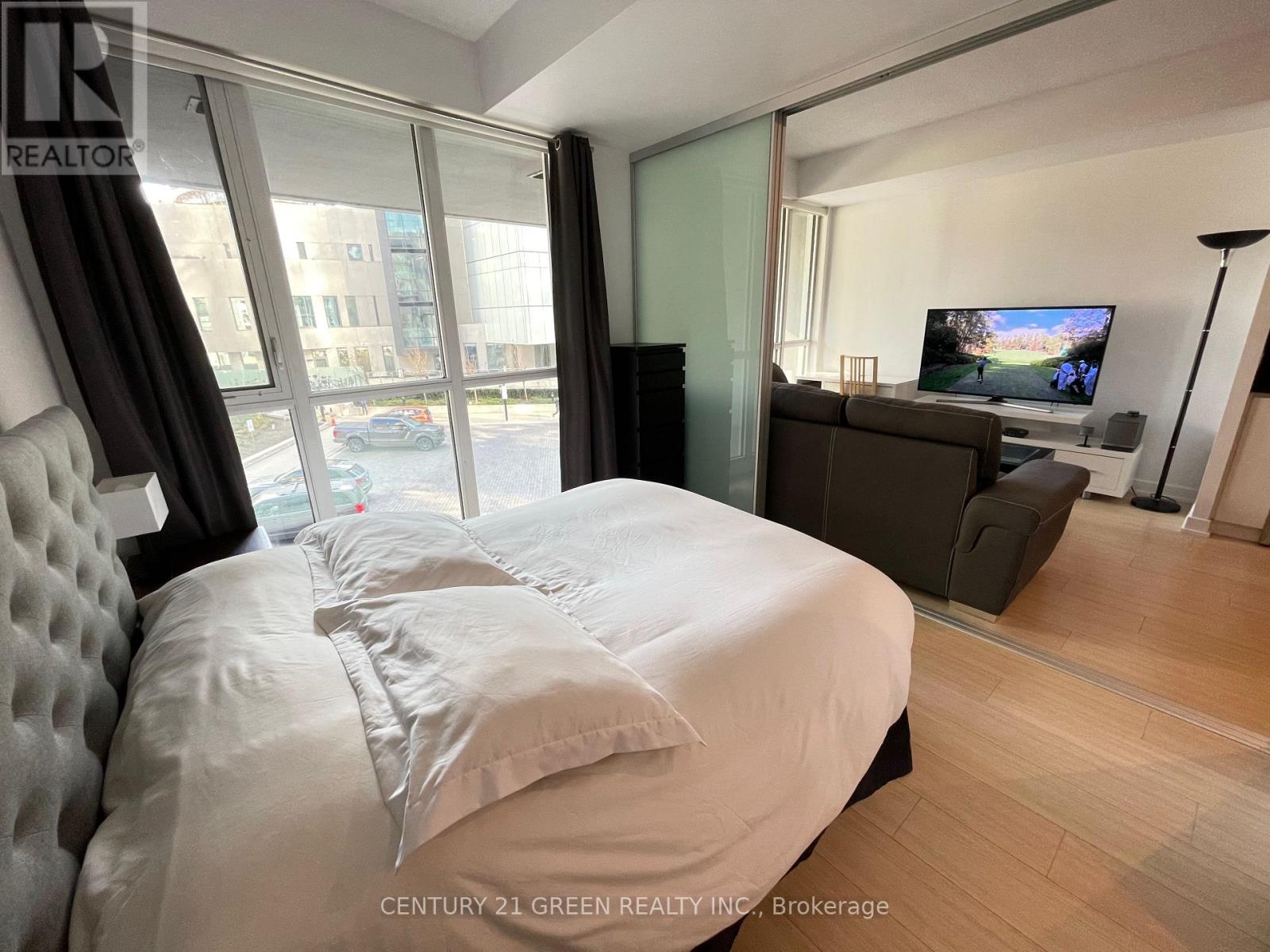 201 - 85 Queens Wharf Road, Toronto, Ontario  M5V 0J9 - Photo 6 - C12475609