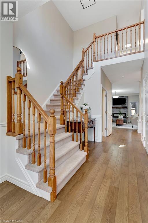 Property at 42 VERONA Street image 5
