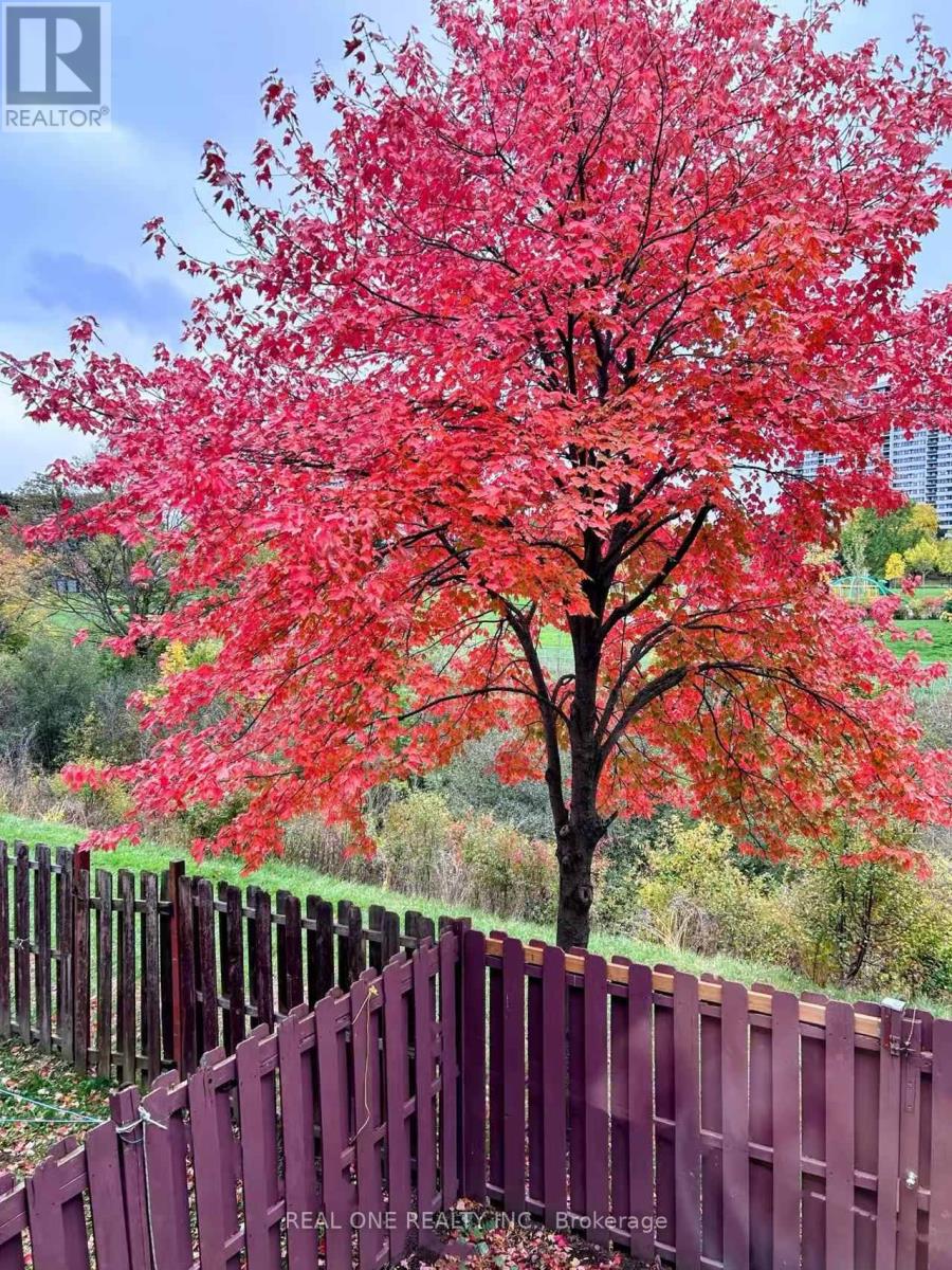 46 - 81 Brookmill Boulevard, Toronto, Ontario  M1W 2L5 - Photo 47 - E12384071