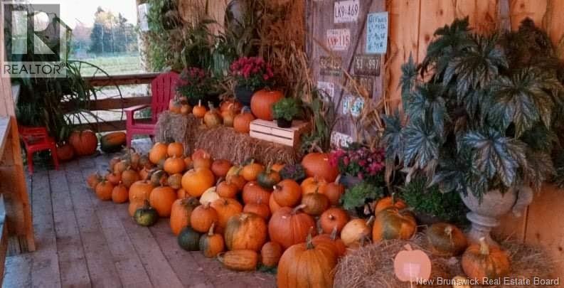 5925 Route 10, Hardwood Ridge, New Brunswick  E3A 1B4 - Photo 18 - NB111329