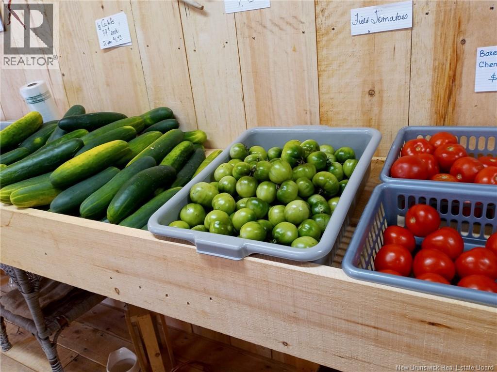 5925 Route 10, Hardwood Ridge, New Brunswick  E4A 1B4 - Photo 20 - NB111338