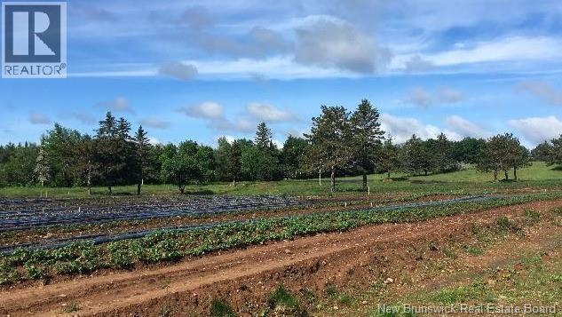 5925 Route 10, Hardwood Ridge, New Brunswick  E4A 1B4 - Photo 34 - NB111338