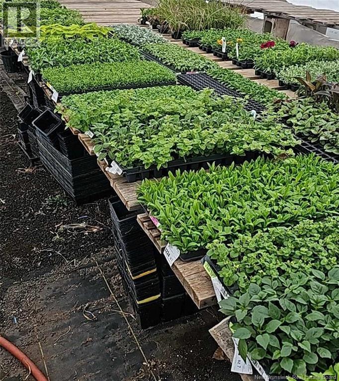 5925 Route 10, Hardwood Ridge, New Brunswick  E4A 1B4 - Photo 30 - NB111338