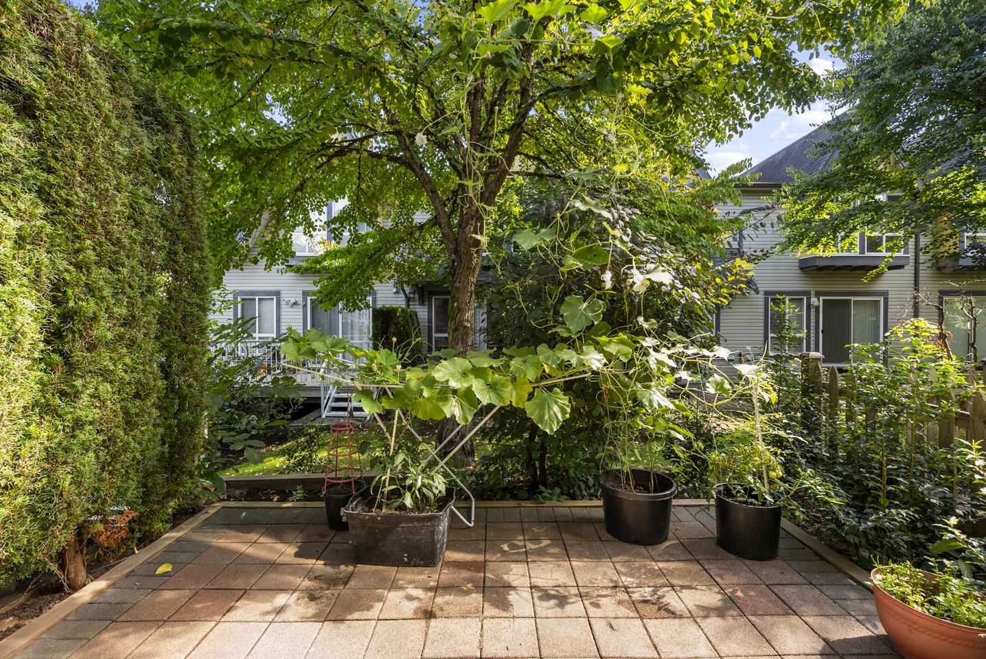 36 16388 85 Avenue, Surrey, British Columbia  V4N 5G2 - Photo 24 - R3061274