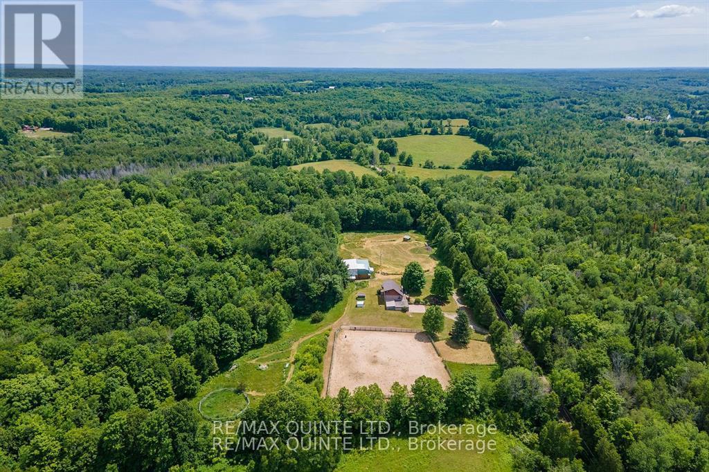 252 Maines Road, Tweed, Ontario  K0K 3H0 - Photo 5 - X12357061