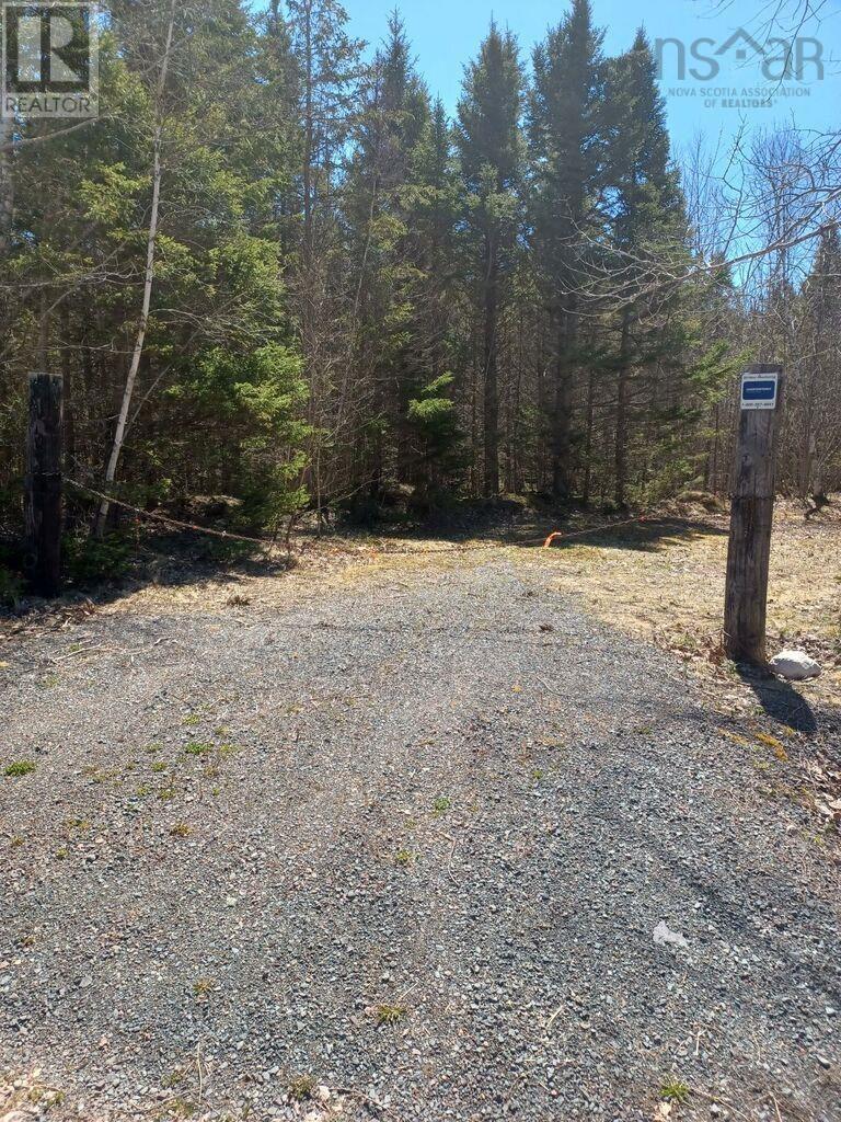 Lot Heathbell Road, Scotch Hill, Nova Scotia  B0K 1R0 - Photo 8 - 202501166