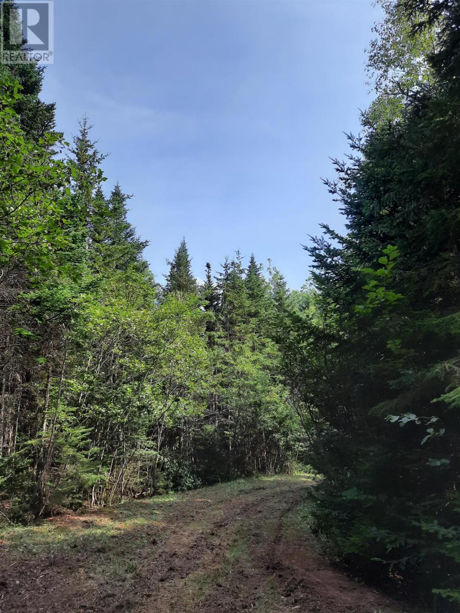 Lot Heathbell Road, Scotch Hill, Nova Scotia  B0K 1R0 - Photo 12 - 202501166