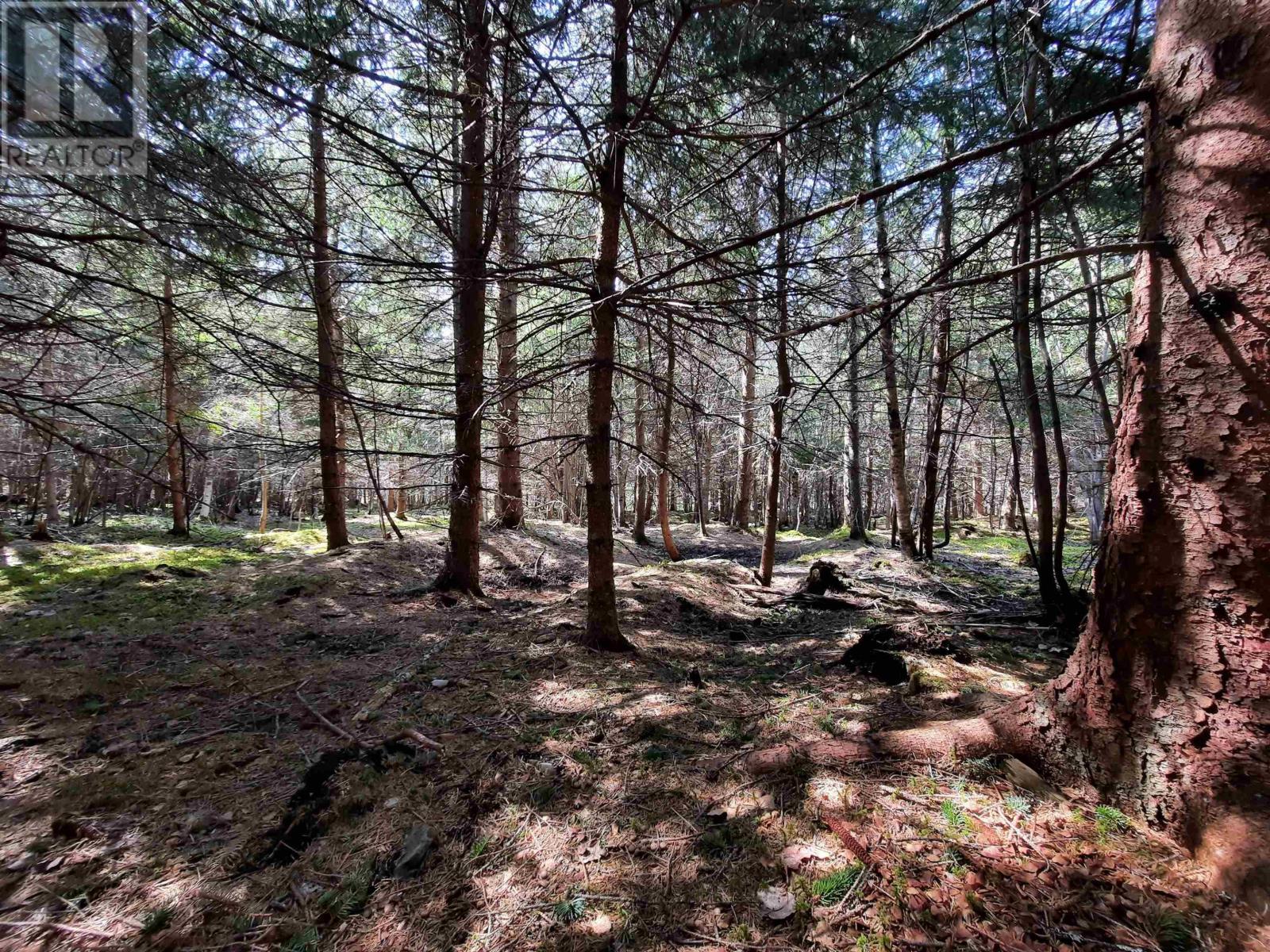 Lot Heathbell Road, Scotch Hill, Nova Scotia  B0K 1R0 - Photo 7 - 202501166