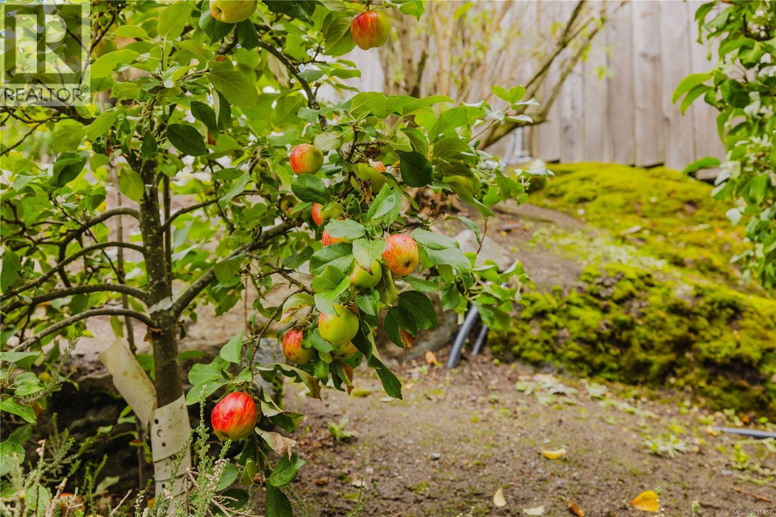 488 Royal Bay Dr, Colwood, British Columbia  V9C 4L2 - Photo 33 - 1015457