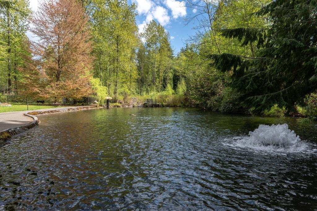 31474 Townshipline Avenue, Mission, British Columbia  V4S 1G4 - Photo 9 - R3060559